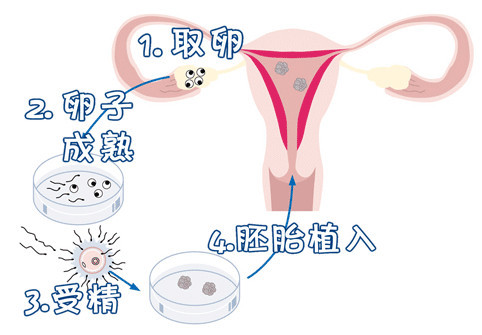 林医師
